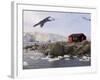 British Base, Port Lockroy, Antarctic Peninsula, Antarctica, Polar Regions-Sergio Pitamitz-Framed Photographic Print
