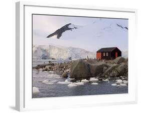 British Base, Port Lockroy, Antarctic Peninsula, Antarctica, Polar Regions-Sergio Pitamitz-Framed Photographic Print