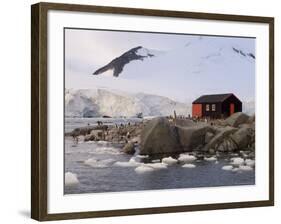 British Base, Port Lockroy, Antarctic Peninsula, Antarctica, Polar Regions-Sergio Pitamitz-Framed Photographic Print