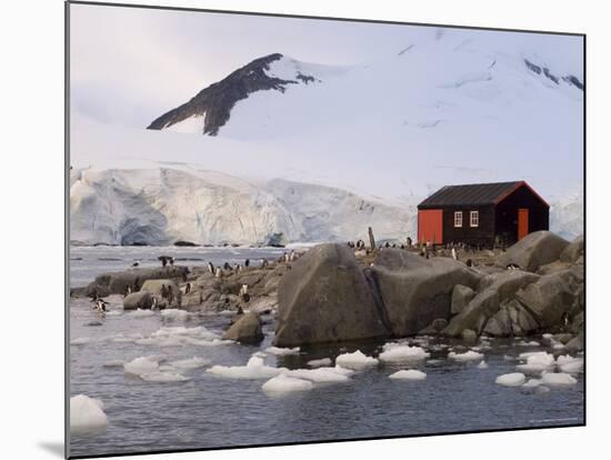 British Base, Port Lockroy, Antarctic Peninsula, Antarctica, Polar Regions-Sergio Pitamitz-Mounted Photographic Print