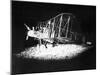 British Bi-Plane Bomber Prepares for a Night Raid During World War One, 1918-null-Mounted Premium Photographic Print