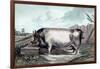 British Boar-Edwin Henry Landseer-Framed Art Print