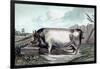 British Boar-Edwin Henry Landseer-Framed Art Print