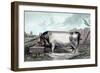 British Boar-Edwin Henry Landseer-Framed Art Print