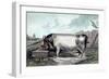 British Boar-Edwin Henry Landseer-Framed Art Print