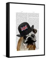 British Bulldog and Bowler Hat-Fab Funky-Framed Stretched Canvas