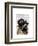 British Bulldog and Bowler Hat-Fab Funky-Framed Art Print