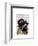 British Bulldog and Bowler Hat-Fab Funky-Framed Art Print