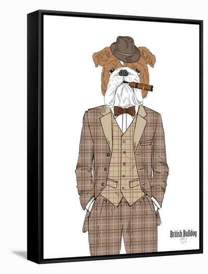 British Bulldog in Tweed Suit-Olga Angellos-Framed Stretched Canvas