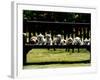 British Bulldog Puppies on a Park Bench, 1994-null-Framed Photographic Print