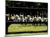 British Bulldog Puppies on a Park Bench, 1994-null-Mounted Photographic Print