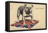 British Bulldog Standing on the Union Flag-null-Framed Stretched Canvas