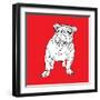 British Bulldog-Anna Nyberg-Framed Art Print