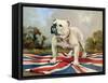 British Bulldog-null-Framed Stretched Canvas