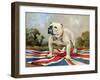 British Bulldog-null-Framed Giclee Print