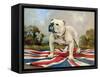 British Bulldog-null-Framed Stretched Canvas