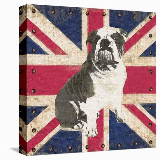 British Bulldog-Sam Appleman-Stretched Canvas