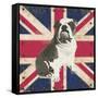 British Bulldog-Sam Appleman-Framed Stretched Canvas