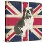 British Bulldog-Sam Appleman-Stretched Canvas