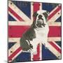 British Bulldog-Sam Appleman-Mounted Art Print