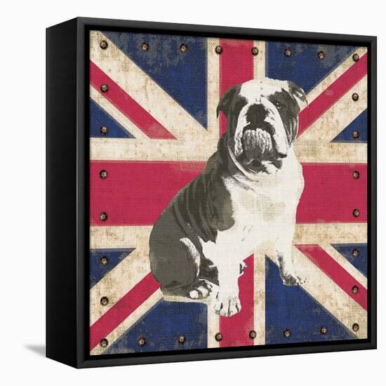 British Bulldog-Sam Appleman-Framed Stretched Canvas