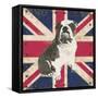 British Bulldog-Sam Appleman-Framed Stretched Canvas