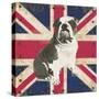 British Bulldog-Sam Appleman-Stretched Canvas