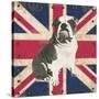 British Bulldog-Sam Appleman-Stretched Canvas