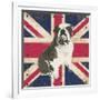 British Bulldog-Sam Appleman-Framed Art Print