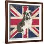 British Bulldog-Sam Appleman-Framed Art Print