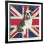 British Bulldog-Sam Appleman-Framed Art Print