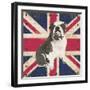 British Bulldog-Sam Appleman-Framed Art Print