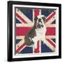 British Bulldog-Sam Appleman-Framed Art Print