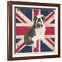 British Bulldog-Sam Appleman-Framed Art Print