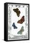 British Butterflies-null-Framed Stretched Canvas