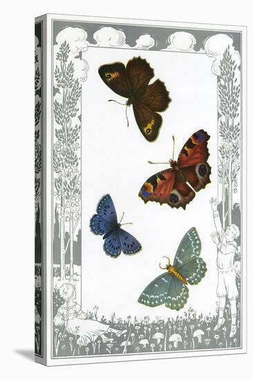 British Butterflies-null-Stretched Canvas