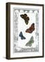 British Butterflies-null-Framed Art Print