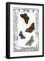 British Butterflies-null-Framed Art Print