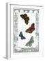 British Butterflies-null-Framed Art Print