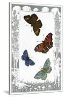 British Butterflies-null-Stretched Canvas