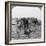 British Casualties, Ypres Salient, Belgium, World War I, 1915-null-Framed Photographic Print