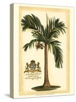 British Colonial Palm I-null-Stretched Canvas