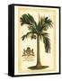 British Colonial Palm I-null-Framed Stretched Canvas