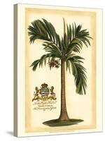 British Colonial Palm I-null-Stretched Canvas