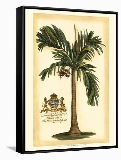 British Colonial Palm I-null-Framed Stretched Canvas