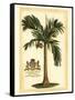 British Colonial Palm I-null-Framed Stretched Canvas