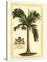 British Colonial Palm I-null-Stretched Canvas
