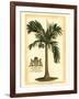 British Colonial Palm I-null-Framed Art Print