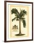 British Colonial Palm I-null-Framed Art Print