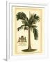 British Colonial Palm I-null-Framed Art Print